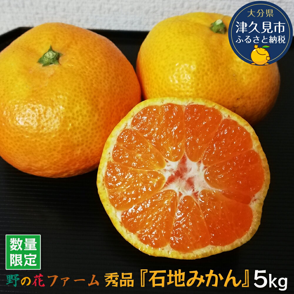 【ふるさと納税】【先行予約】野の花ファーム 秀品 石地みかん 5kg ミカン オレンジ 蜜柑 フルーツ 旬 果物 くだもの 大分県産 九州産 津久見市 国産 送料無料