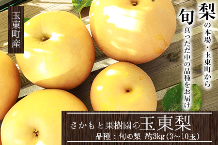 さかもと果樹園の玉東梨 約3kg (3玉-10玉前後)《8月中旬-9月末頃出荷》【日付指定・品種指定不可】 熊本県玉名郡玉東町 ｜ブランド梨 人気梨 特産品梨 熊本県梨 玉東町梨 大人気返礼品