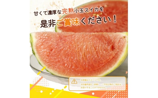 紀州和歌山産 小玉スイカ「ひとりじめ」 2玉【2025年6月上旬頃～2025年6月下旬頃に順次発送】【UT86】    XF91088