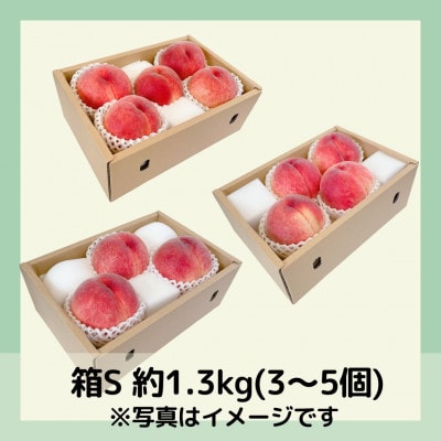 山梨 萩原フルーツ農園の桃　白桃S (約1.3kg 3～5個入)【配送不可地域：離島】