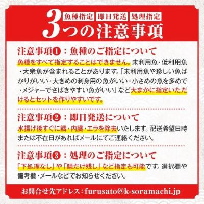 ふるさと納税 肝付町 漁師厳選!ロコフィッシュ(地魚) 下処理済 鮮魚 ボックス(約2~3kg)　A78003 |  | 01
