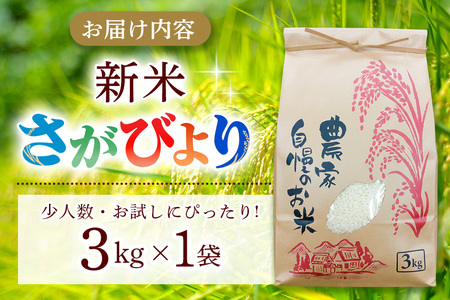【連続特A受賞米】佐賀県基山町の米・令和7年産 さがびより(精米)3kg〈生産者直送〉【米 ブランド米 特A 冷めても美味い 3kg ふるさと納税】K094004