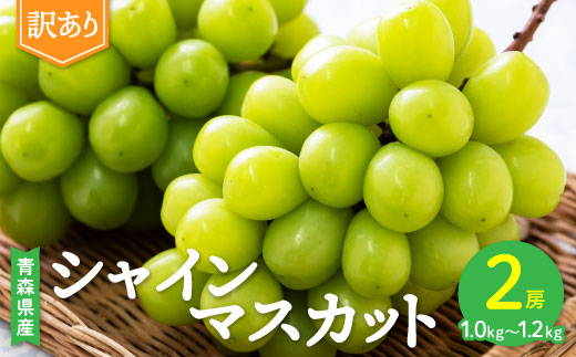2026年発送【訳あり】青森市産シャインマスカット 2房(1kg以上)【配送不可地域：離島・沖縄県】【1492539】