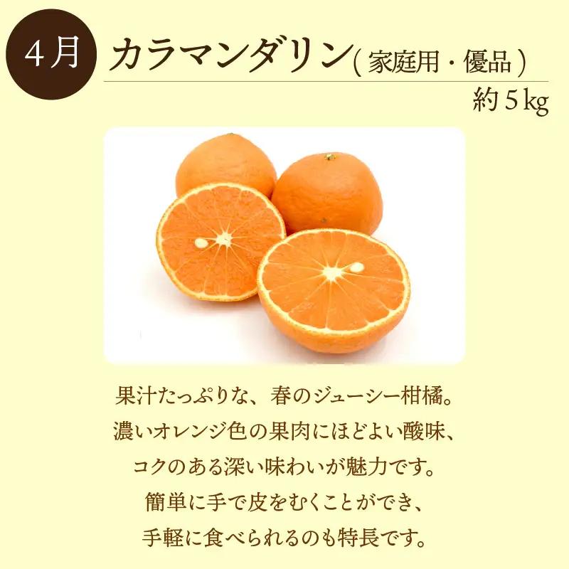 愛媛 みかん 定期便【全3回】瀬戸内みかん 島便り | 石地みかん 完熟島いよかん カラマンダリン 【KK336】
