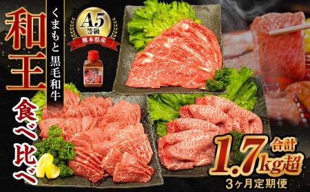 【3ヶ月定期便】 熊本県産 A5等級 黒毛和牛 和王 食べ比べ 合計約1750g 牛肉 セット