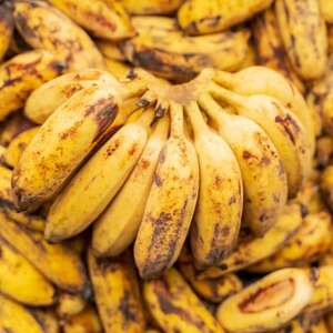 【発送月固定定期便】国頭村アドバンス・ファーム直送!モチモチ食感のアップルバナナ定期便全3回【4074982】