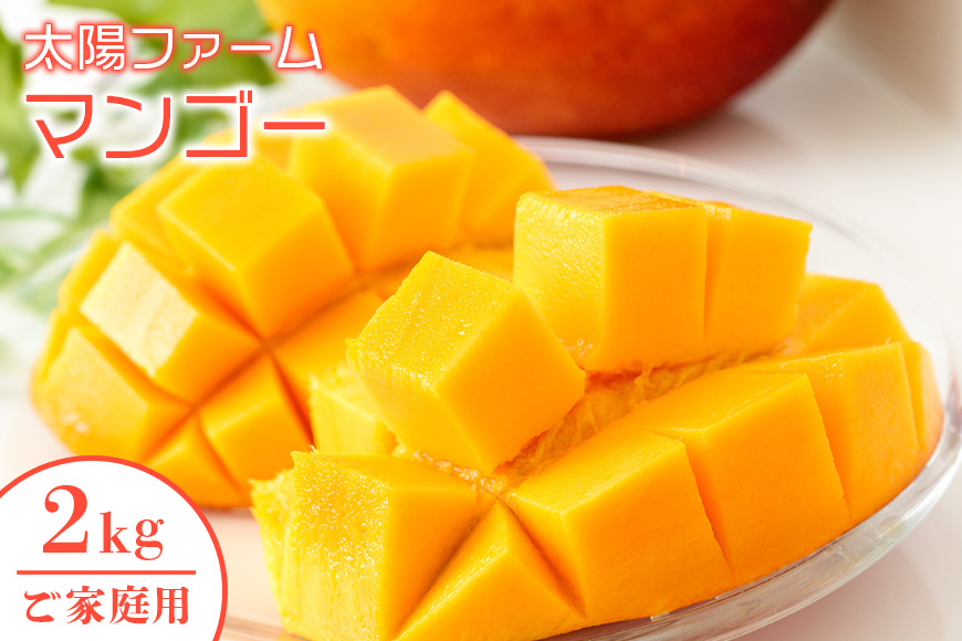 【2026年発送】農家直送！太陽ファームのマンゴー2kg（ご家庭用） 120-4