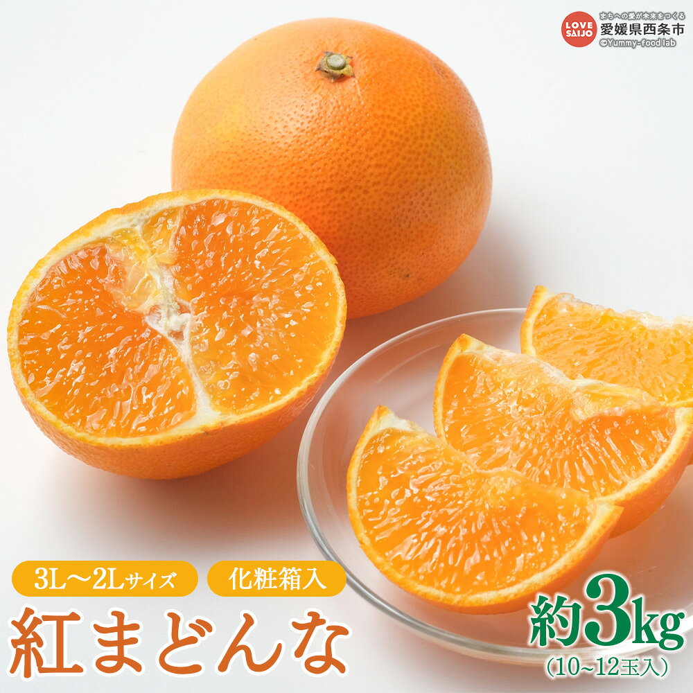 【ふるさと納税】先行予約受付＜紅まどんな 約3kg 10〜12玉入（3L〜2Lサイズ）化粧箱＞※2026年12月上旬〜12月下旬迄に順次出荷します。 フルーツ 果物 くだもの 柑橘 みかん 蜜柑 ジューシー 産地直送 JA周桑 農業協同組合 愛媛県 西条市【常温】