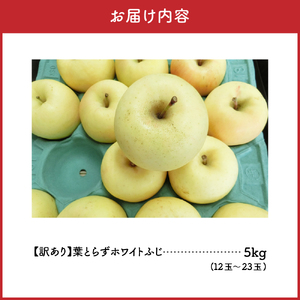 【2025年12月後半発送】【訳あり】葉とらずホワイトふじ5kg