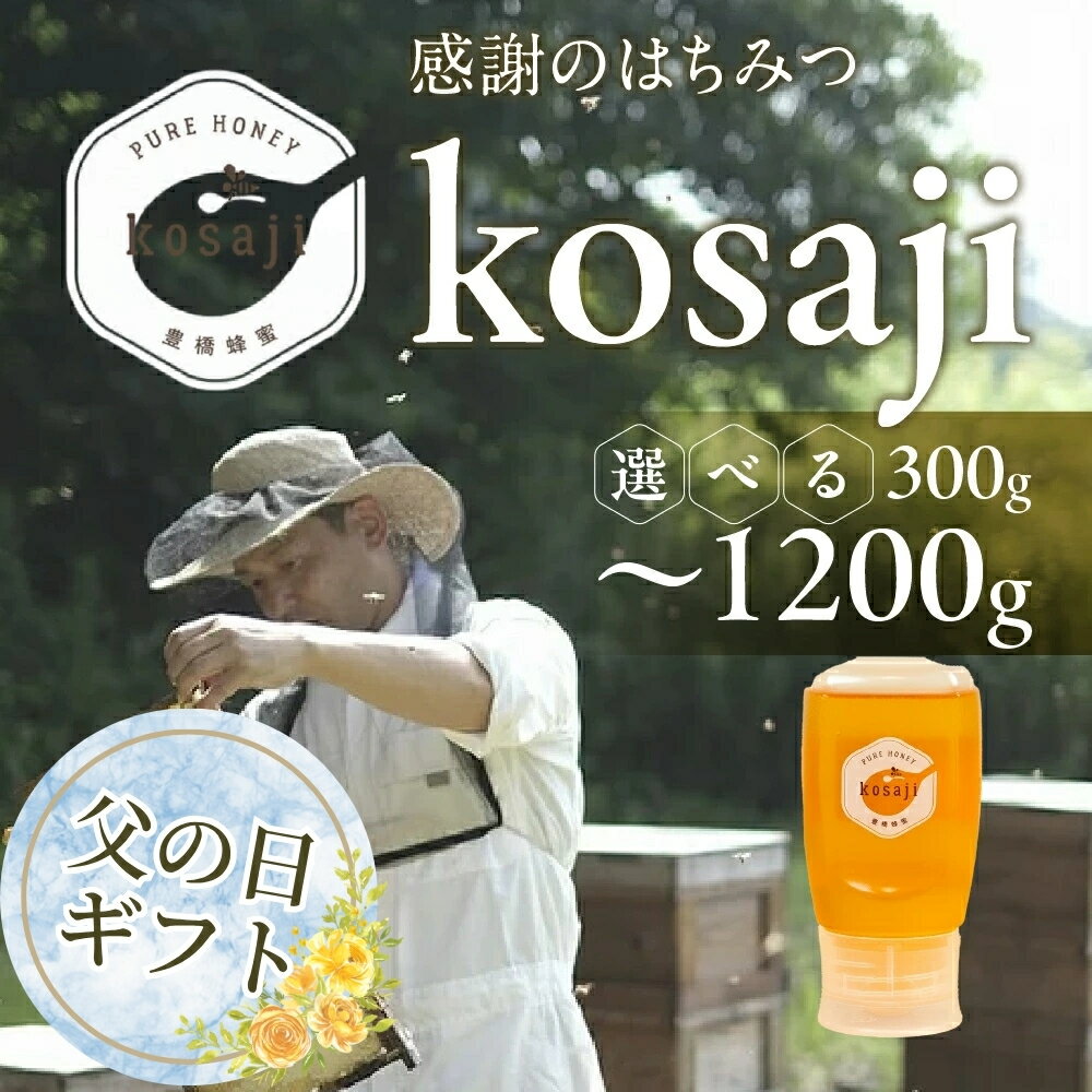 【ふるさと納税】≪父の日お届け≫豊橋蜂蜜【kosaji】春はちみつ ~1200g ≪選べる 300g / 600g / 1.2kg≫ボトル 蜂蜜 はちみつ 国産 常温 はちみつ ハチミツ 蜂蜜 ハニー 蜜切れ セット 2本 3本 ハチミツセット 贈答 プレゼント 贈り物 送料無料 愛知県 豊橋市