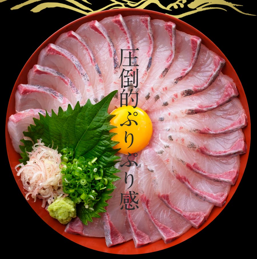 宮崎産 新海屋 鰤屋金太郎 金太郎ぶり 1500g　冷凍　N018-ZC111_2