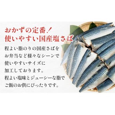 ふるさと納税 石巻市 訳あり 塩サバフィーレ 1kg (10枚前後) 鯖 冷凍 不揃い 魚 お魚  おかず お弁当 |  | 01