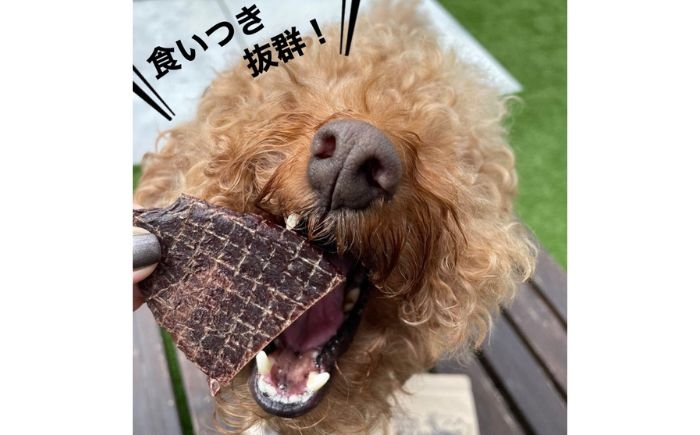 ジビエ ペットフード 犬 おやつ ジャーキー ペットジャーキー ドックフード