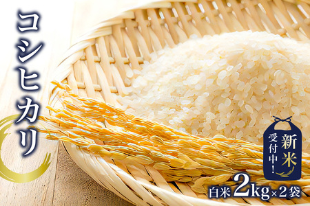 【新米】コシヒカリ白米2kg×2袋【2025年産】 mi0015-0001