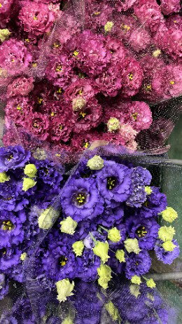 【ふるさと納税】タカセ花園 ヒロト厳選！季節の切り花セット[a0784]タカセ花園 返礼品 添田町 ふるさと納税