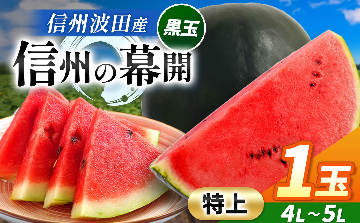 
            【先行受付：2026年7月発送】信州波田産 贈答用 黒玉スイカ！信州の幕開 【特上】 4L～5Lサイズ 1玉｜ふるさと納税 長野県 信州 松本 果物 フルーツ すいか スイカ 西瓜 贈答 季節限定 甘い くだもの ふるーつ
          