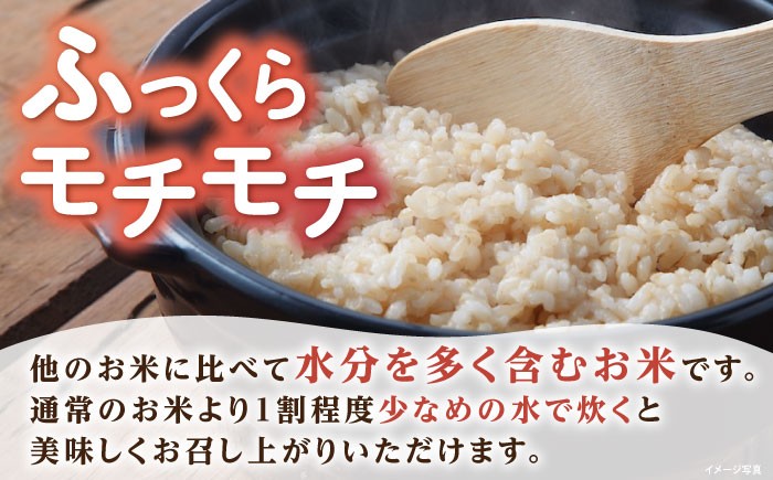 滋賀県 ミルキークイーン 玄米 10kg げんまい コメ 米 お米 みるきーくいーん 人気 おすすめ 特別栽培米 ごはん ご飯