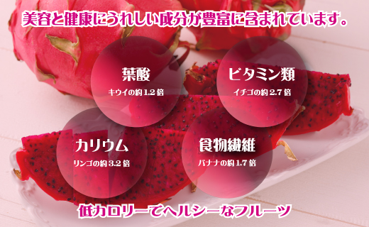 貞岡農園 プレミアム ドラゴンフルーツ 赤玉 2.5～3kg ( 4玉～6玉 ) 天城町産 徳之島宝赤 トロピカルフルーツ フルーツ 果物 果実 ピタヤ