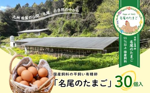 国産飼料の平飼い有精卵「名尾のたまご」30個入：B135-013