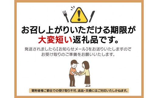 【先行予約】≪浜茹で≫ 天然 越前がに 特大 (茹で前1.1～1.3kg) × 2杯【2027年3月上旬以降順次発送予定】冷蔵便 届いてすぐお召し上がりいただけます！ タグ付 福井を代表する冬の味覚 【越前ガニ  越前蟹 かに ずわい ズワイ 福井】 [m17-x004_03]