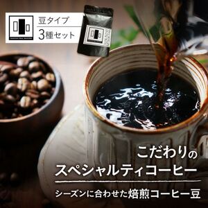 【感謝企画】自家焙煎スペシャルティコーヒー豆 店主おすすめ 3種 計300g【1653005】