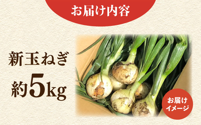 【先行予約】新玉ねぎ　約5kg（3月～4月）【鈴也ファーム】 [AKCE019]