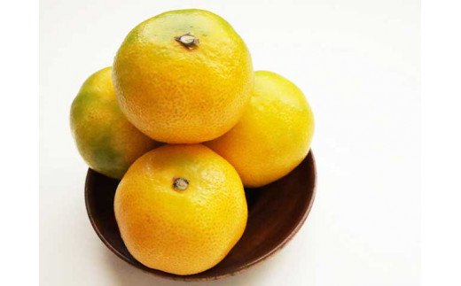BF6057_【2025年先行予約】 ハウスみかん 二種 食べ比べ 4パック 【ミカン 蜜柑 柑橘 温州みかん 有田みかん ハウスミカン 和歌山】