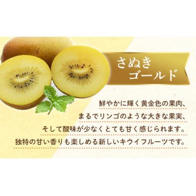 ふるさと納税 琴平町 【発送月固定定期便】香川県・三豊市共通返礼品　フルーツ旬の果物　Aセット全3回 |  | 02
