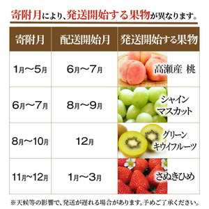 産地厳選三豊のフルーツ４回定期便　B_M64-0064