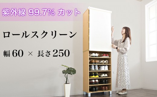 
ロールスクリーン（60×250）byt1013353
