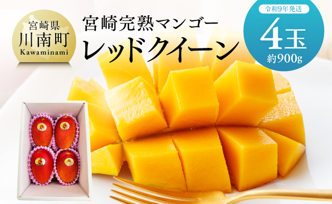 【令和9年発送】宮崎県産完熟マンゴー　「レッドクイーン」4玉(900g) 【 果物 フルーツ マンゴー 宮崎県産 完熟マンゴー みやざきマンゴー 先行予約 季節限定 】