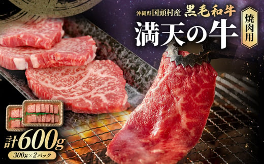 やんばるの自然が育んだ「黒毛和牛 経産牛」焼肉用 合計600g(300g×2パック)【1716641】