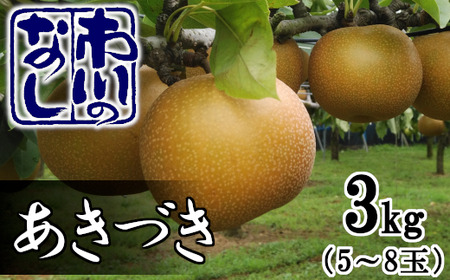 市川の梨　あきづき　3kg（5～10個入り）　【12203-0085】