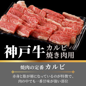 神戸牛カルビ焼肉700g 《 肉 カルビ 神戸牛 焼肉 国産 バーベキュー サシ 和牛 プレゼント ギフト お取り寄せ 送料無料 おすすめ 》【2402A00214】