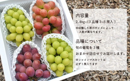 【きよとうファーム】ぶどう３品種詰め合わせ（シャインマスカット入り）3-5房入/計2.4kg~ (岡山県産)【KF-B032-01】