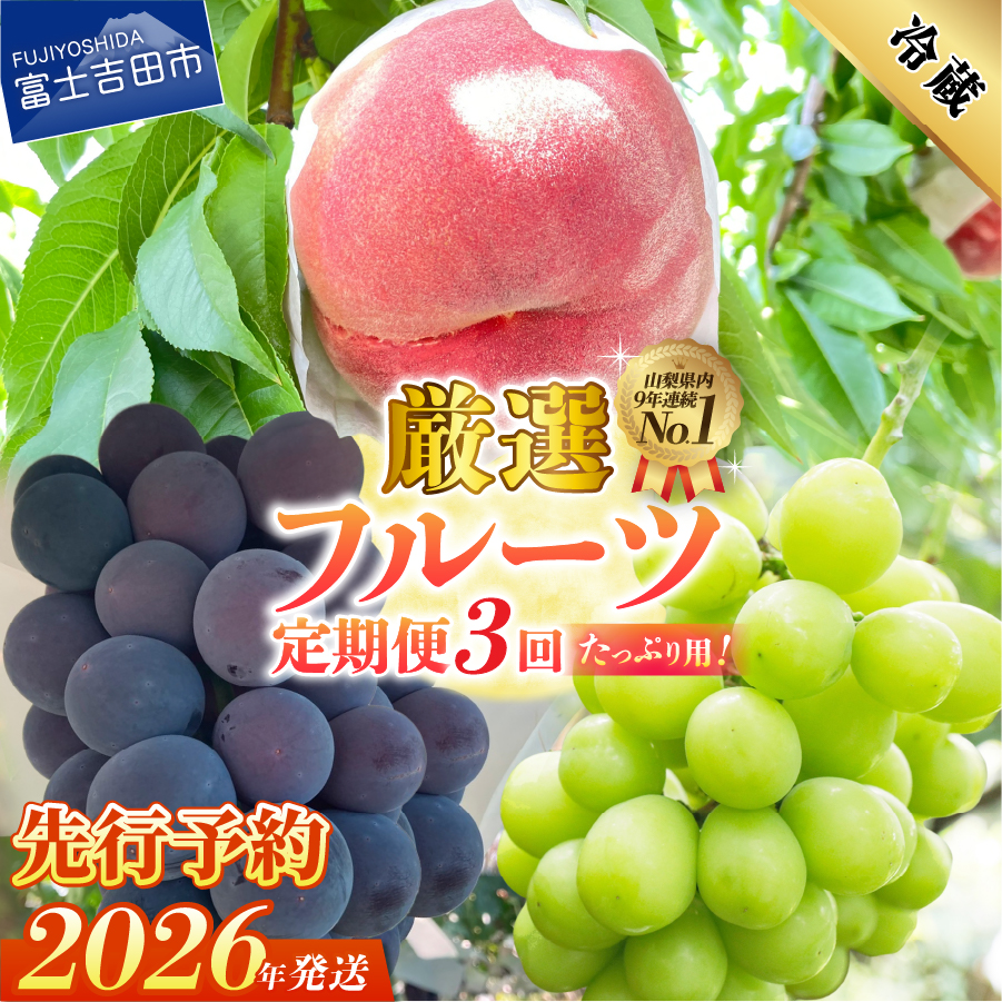 【2026年先行予約】【定期便】 厳選 フルーツ3回定期便
