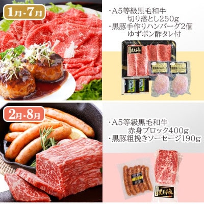 定期便(6回配送)　鹿児島県産うなぎ・黒毛和牛・黒豚・海の幸　HH5-0001【配送不可地域：離島】