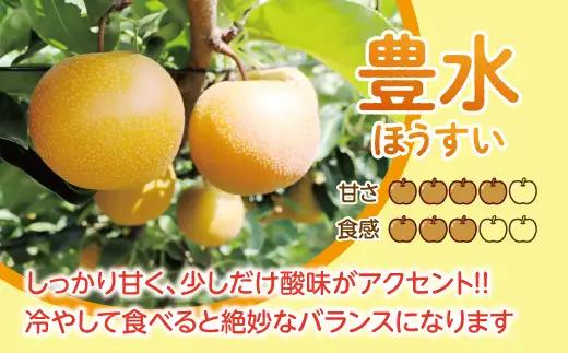 【先行予約】【数量限定】淡海なし　豊水　3kg箱入り（サイズ：2L～7L　5～10個入り）【K129W】スイーツ 果物