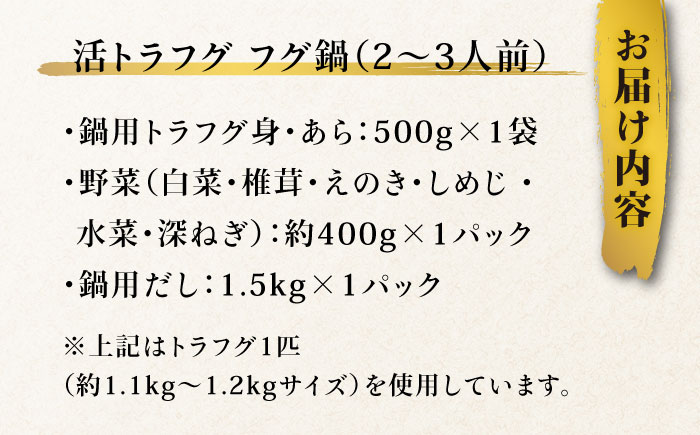 【長崎県産】トラフグフグ刺し・フグ鍋セット（2～3人前）  / ふぐ フグ とらふぐ トラフグ 刺身 河豚 ふぐ刺し 鍋 なべ / 南島原市 / ながいけ [SCH033]