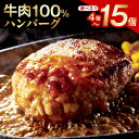 【ふるさと納税】期間限定 ハンバーグ ステーキ 冷凍 牛100％ ビーフ 牛肉 玉ねぎ ごはんのお供 食品 お取り寄せ お取り寄せグルメ 無添加 無着色 送料無料 泉佐野市 肉の泉佐野