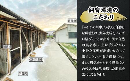超新鮮＆美味！大津市で飼育した近江しゃもor名古屋コーチン！