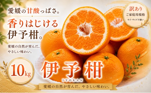 ＜訳あり 愛媛県産伊予柑 合計約10kg＞『2027年1月上旬～2月下旬迄に順次出荷予定』 爽やか いよかん ジューシー 甘い あまい 果汁 果物 くだもの フルーツ みかん オレンジ 柑橘 人気柑橘 特産品 株式会社OSN 愛媛県 西予市 【常温】