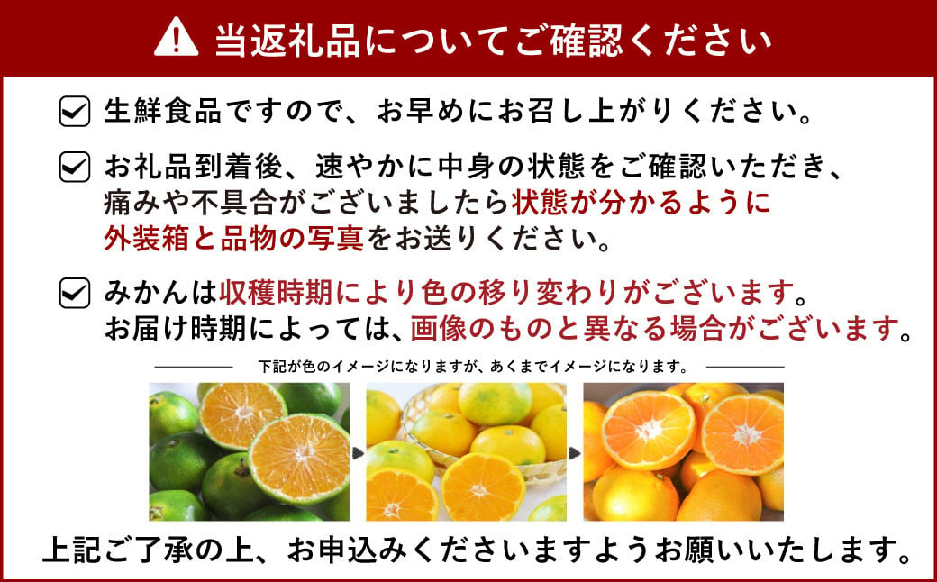 宇城市産 青島 温州みかん 約8kg（60個前後）ひでみかん 【12月上旬から12月下旬発送予定】