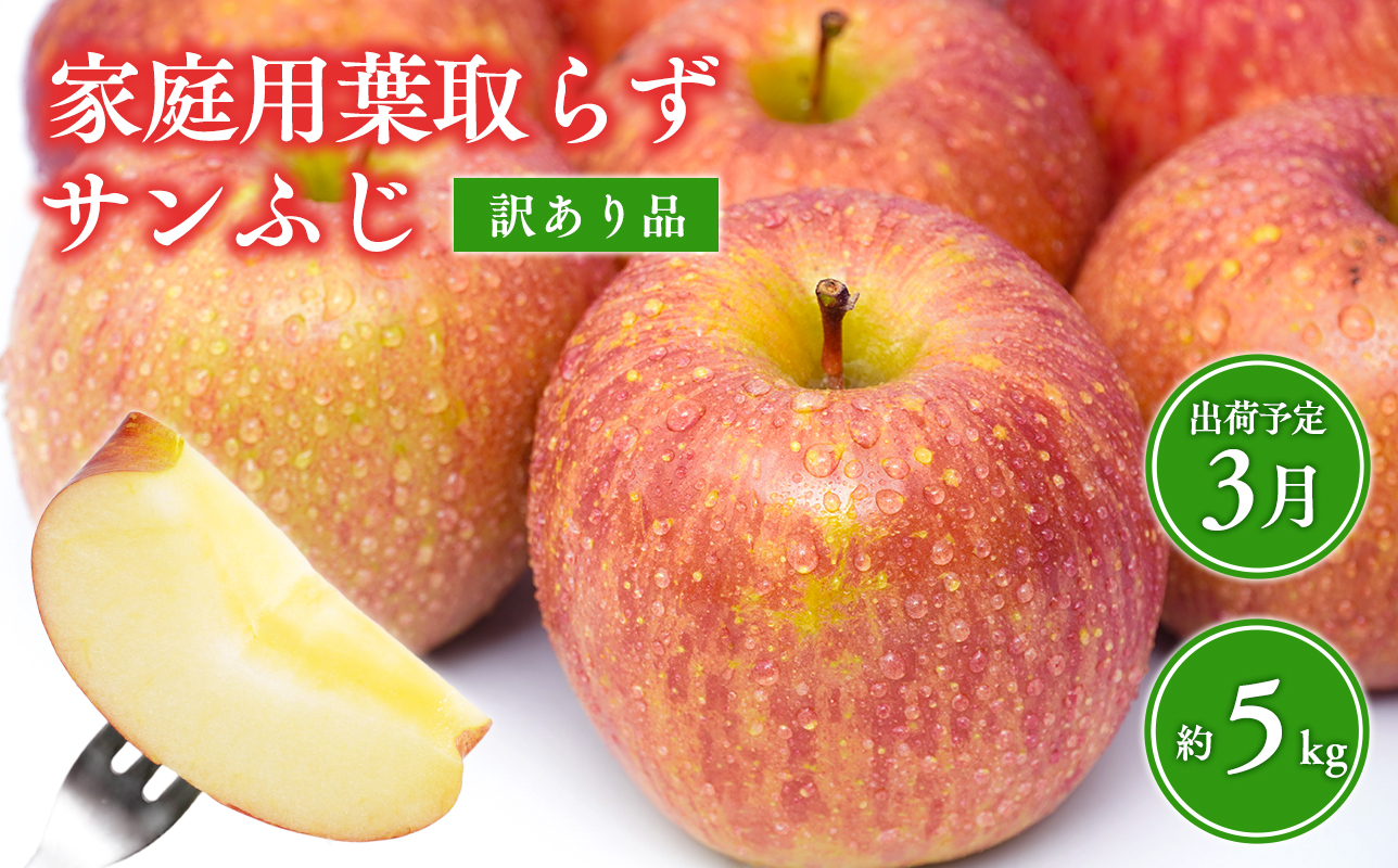 3月 葉取らずサンふじりんご 約5kg 訳あり 家庭用【青森県 平川市 森山商店 】 
