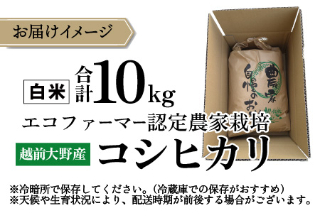 【先行予約】【令和6年産 新米】越前大野産 エコファーマー認定農家栽培 コシヒカリ10kg（白米）[A-001035]