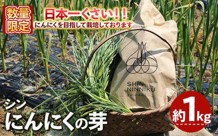 ＜4月中旬～5月上旬発送予定＞＜数量限定＞シン・にんにく にんにくの芽(約1kg) 国産 大阪 箕面 シンニンニク 芽 ガーリック  野菜 新鮮 香味野菜 料理 新登場 【m102-08】【トラキチ】