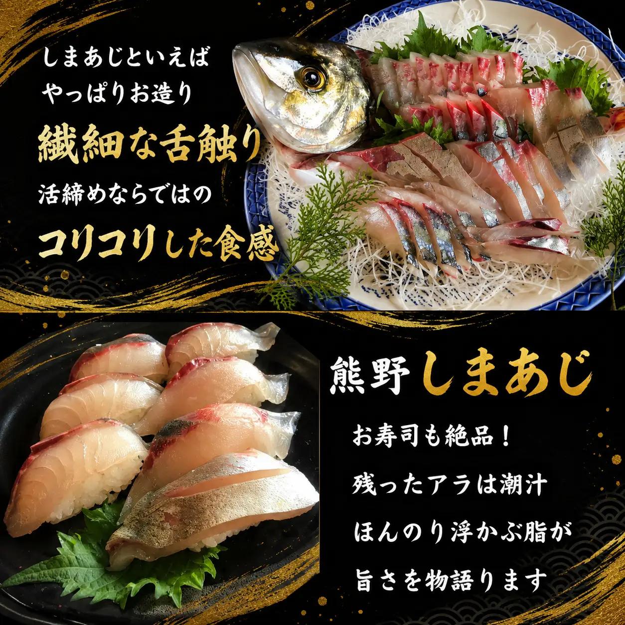 【配送日指定可】 アジ 新姫熊野しまあじ 1匹 下処理済み【冷蔵】【mzsi0004-1】