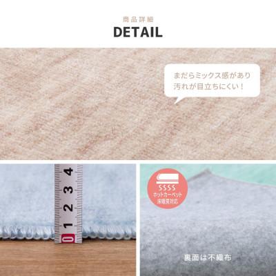 ふるさと納税 泉大津市 パステルカラーの日本製　抗菌カーペット　ブルー　4.5帖　約261×261cm　600004345 |  | 03