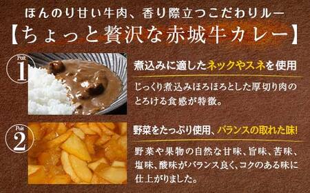 ちょっと贅沢なビーフカレー10個セット F4H-0473