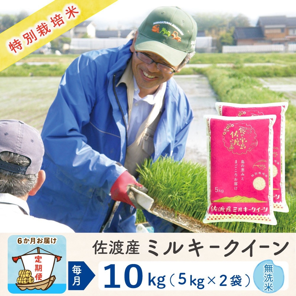 
                  【令和8年産新米 6ヶ月】佐渡島産ミルキークイーン 無洗米 10kg 特別栽培米
                